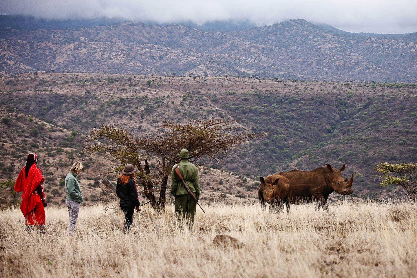Private safari vs National Park safari