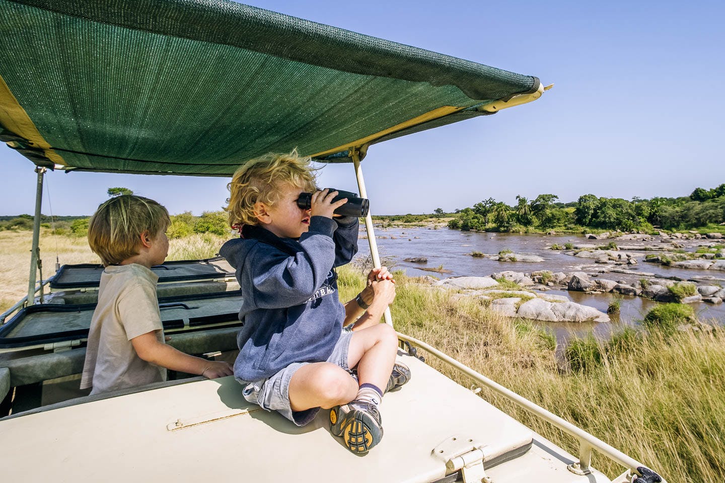 Plan a family safari