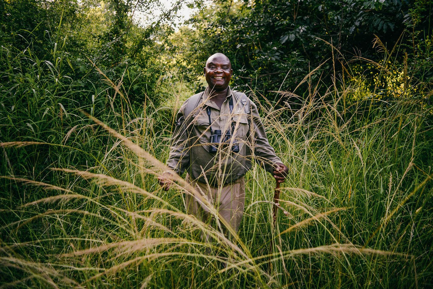 What makes a great safari guide