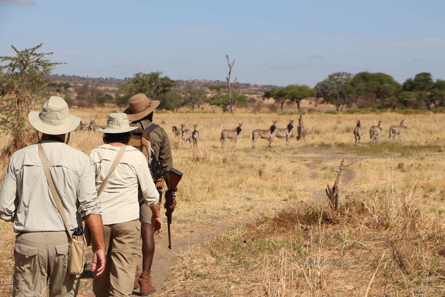 Tarangire National Park best time to visit tanzania