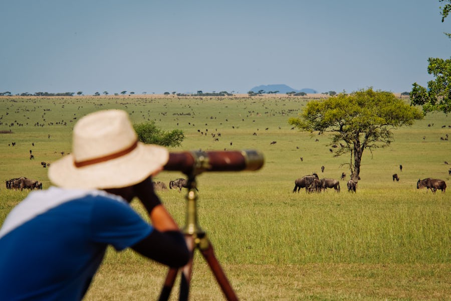 Serengeti wildebeest Tanzania
