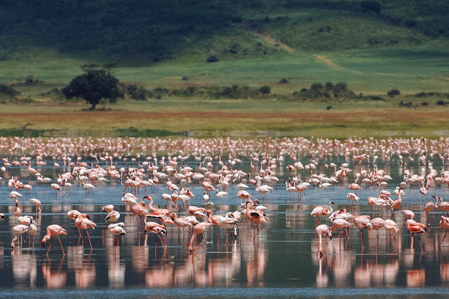 ngorongoro best time to visit tanzania