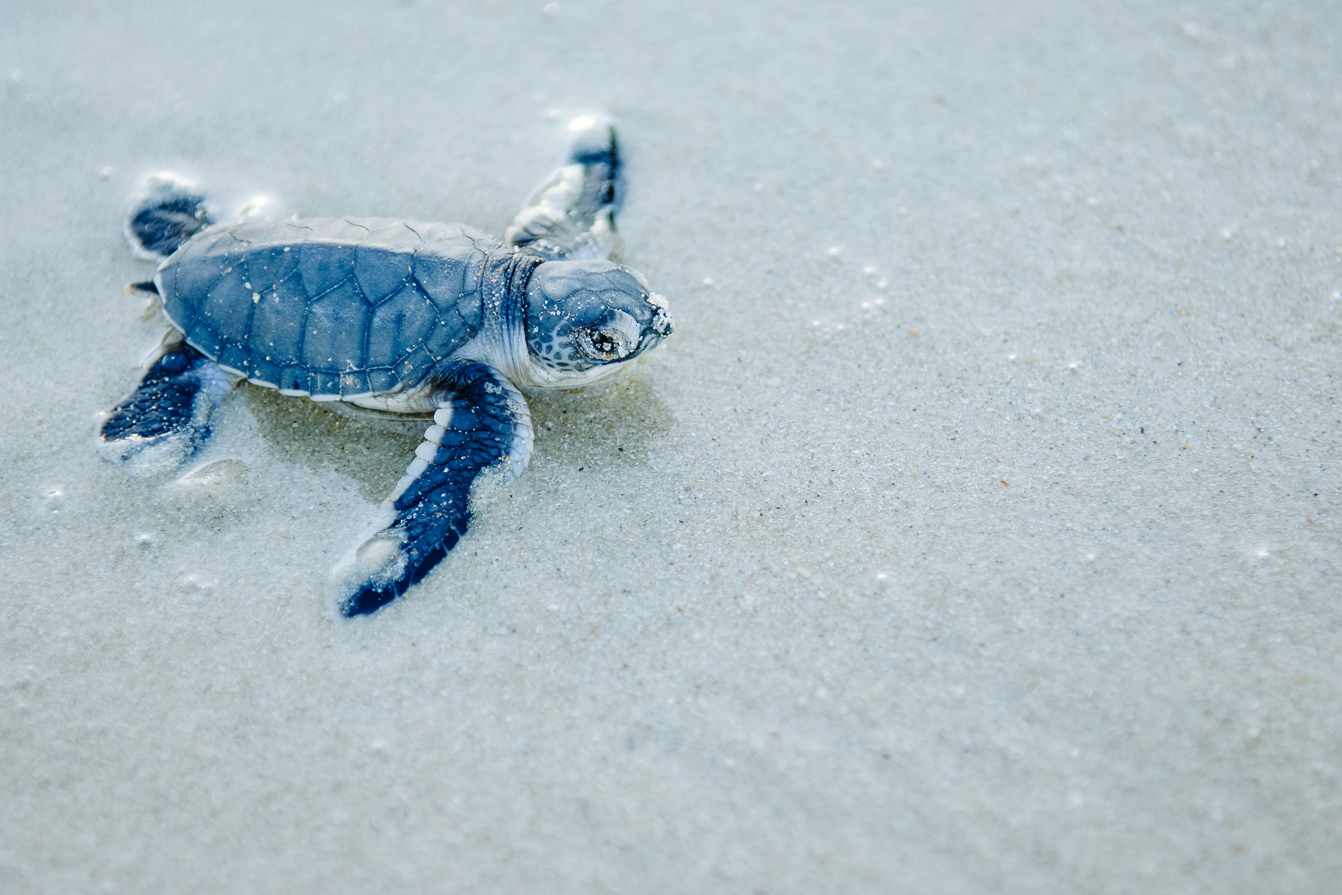 Top things to do in Zanzibar