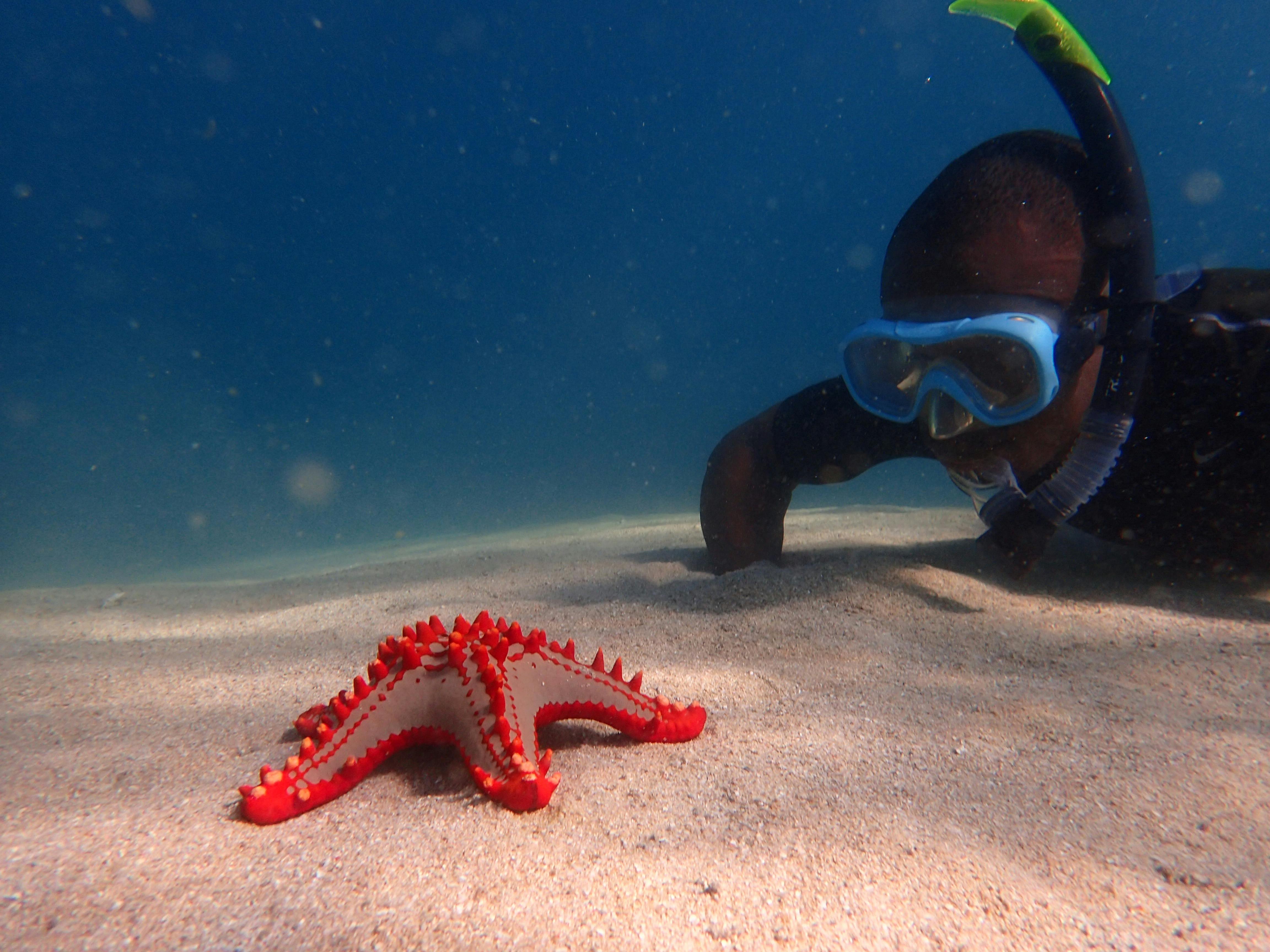 Mozambican dhow safari archipelago diving snorkelling