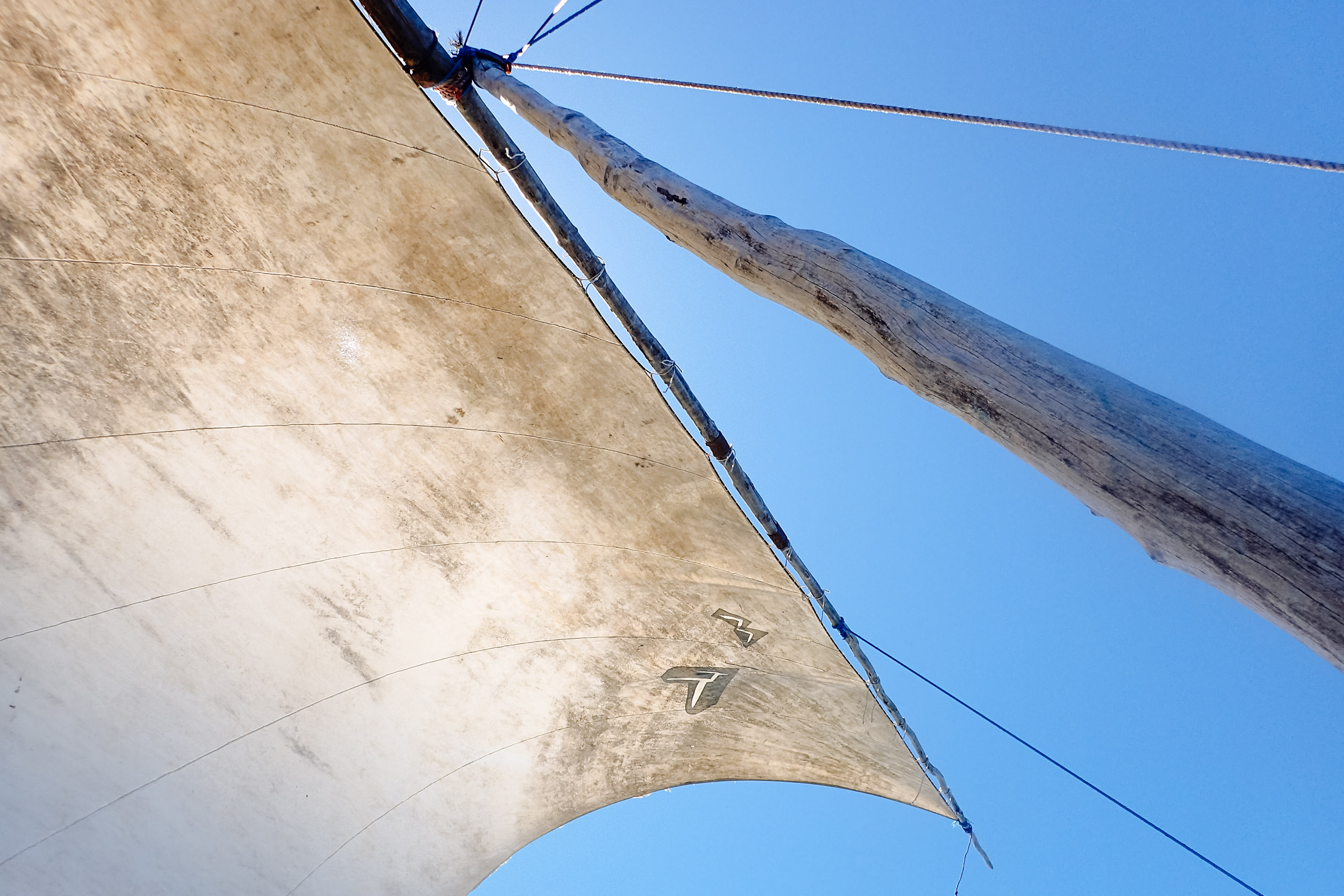 One Day on a Mozambican Dhow Safari