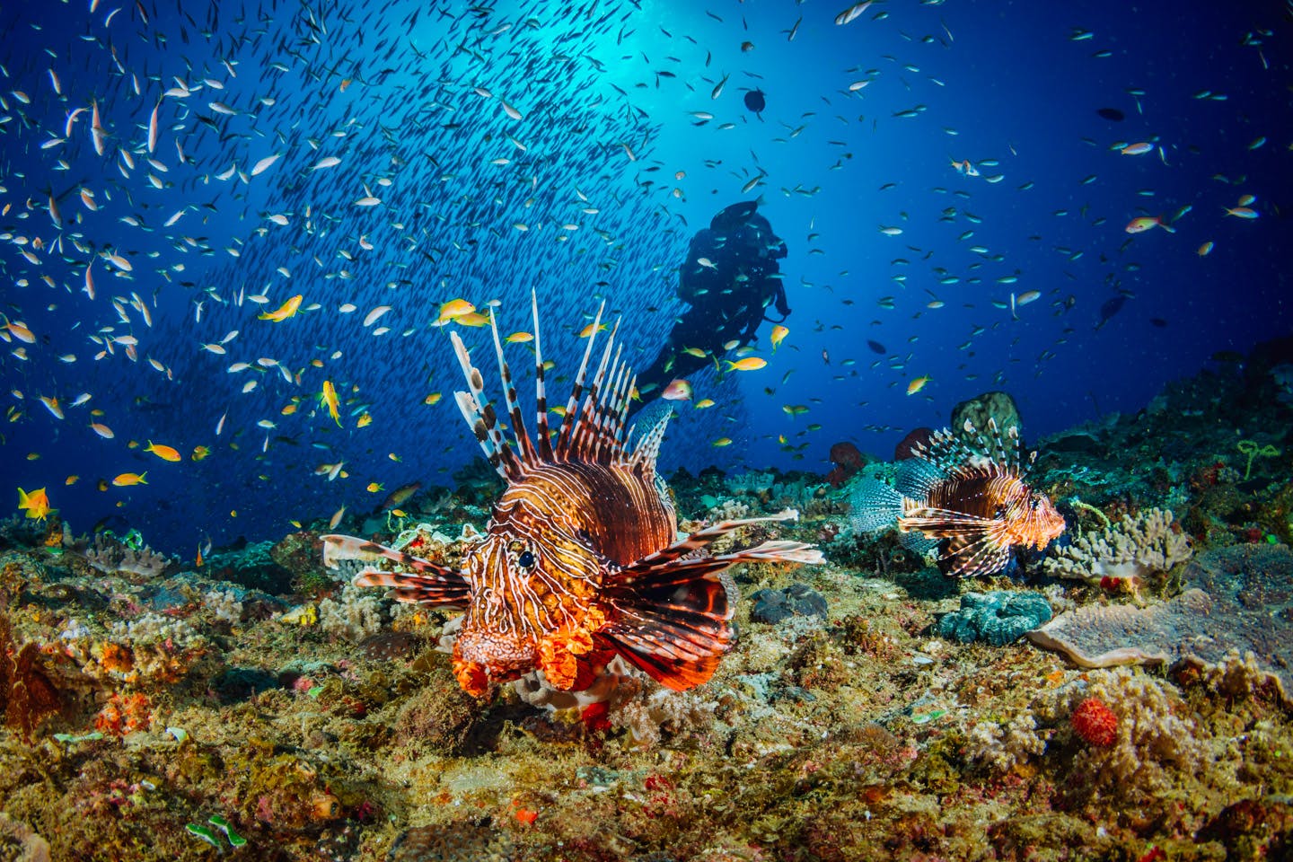 best time to visit mozambique