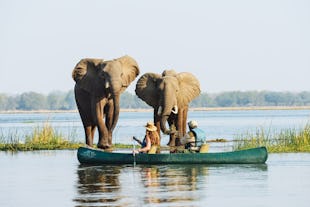 7 active safari ideas