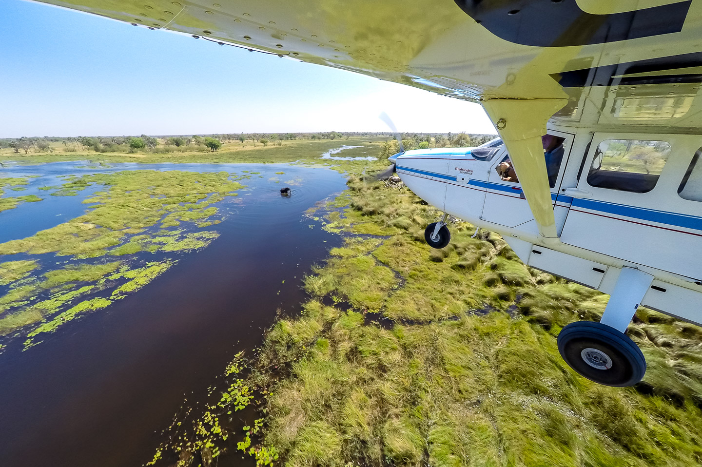 The Best Time To Visit Botswana   Delta Air Botswana 4 