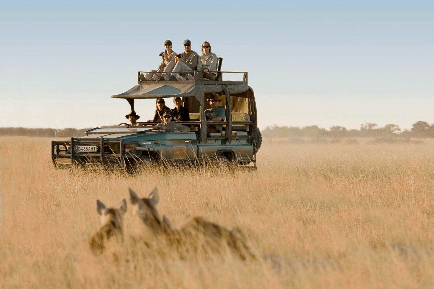 botswana travel guide everything