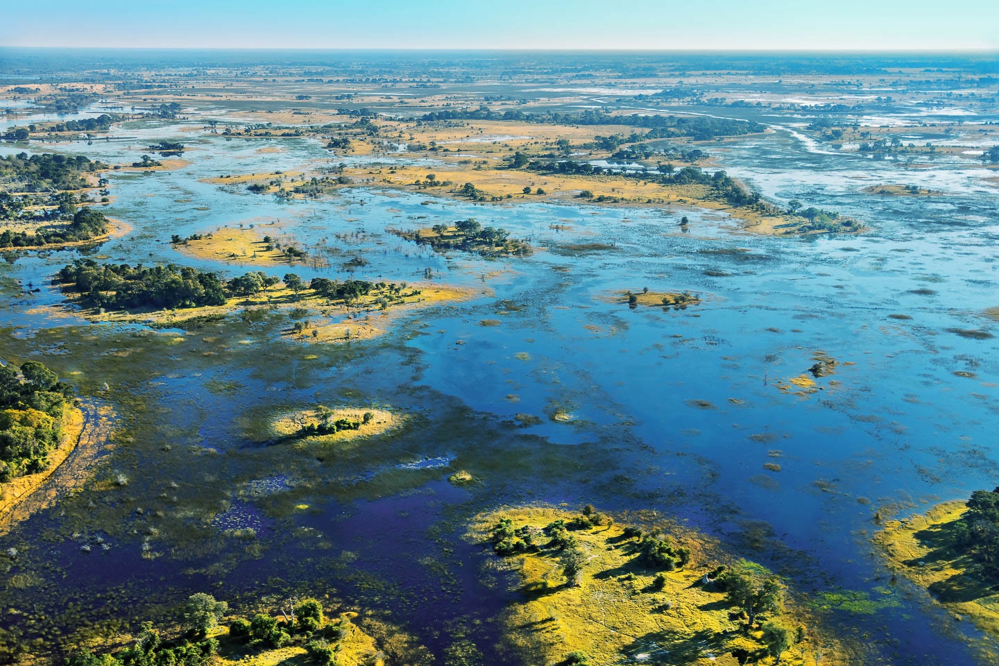 Record Rains In The Okavango Delta In 2017   Okavango Delta Botswana Timbuktu 