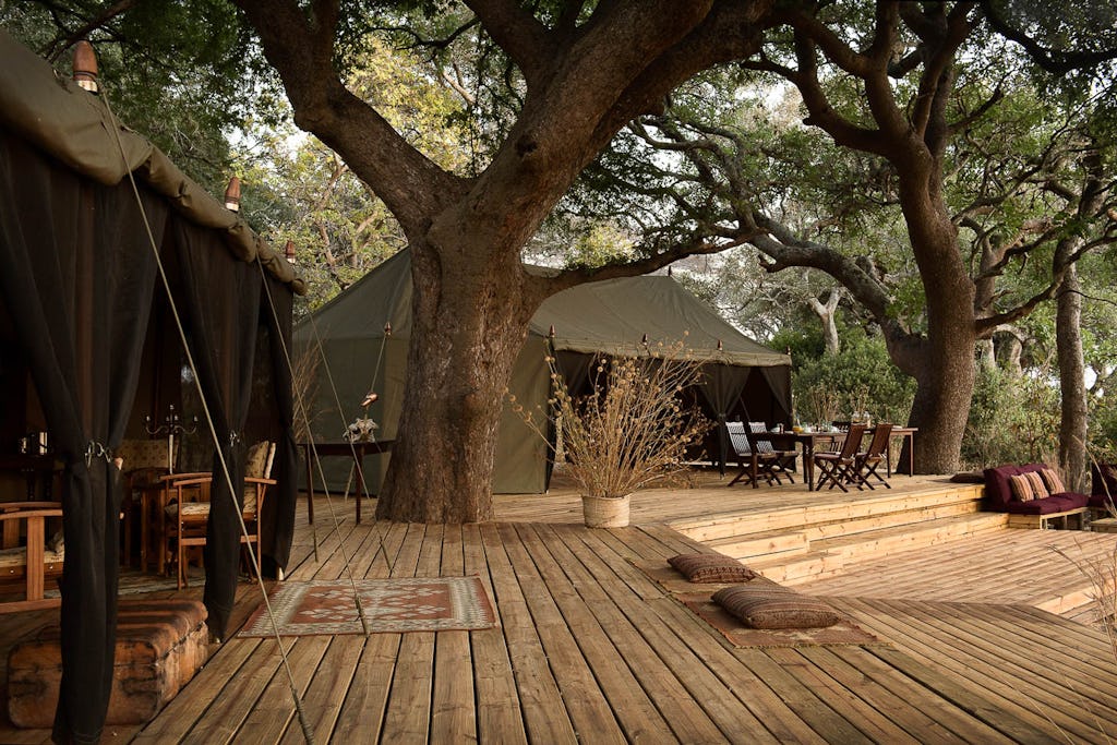 eco-friendly safari lodges