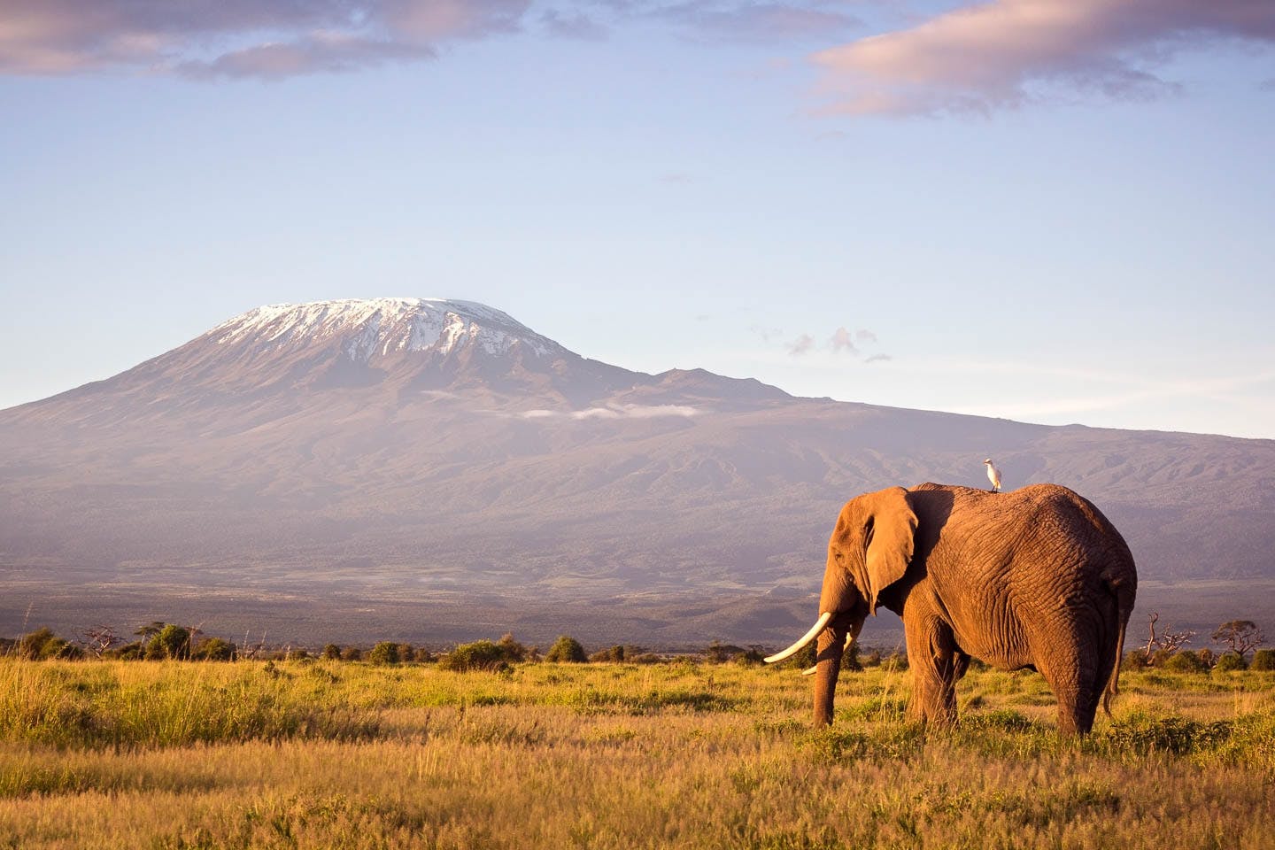 what to pack for Kenya