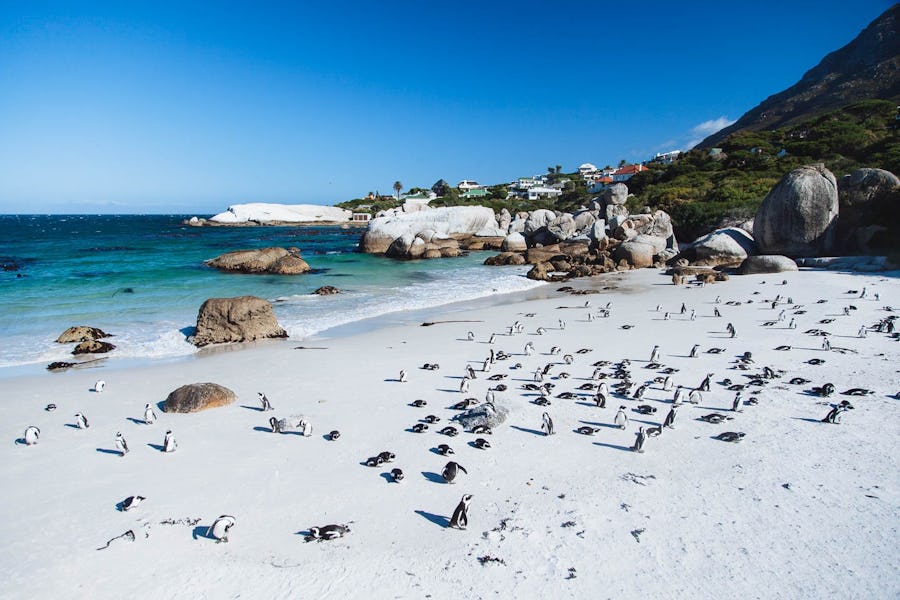 best time to visit South Africa