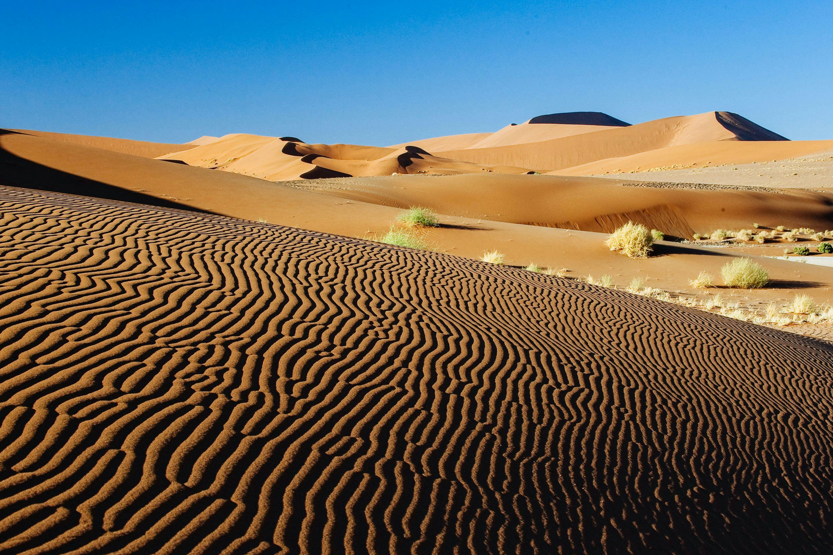 Приокеаническая пустыня. Соссусфлей красные дюны Намибии. Пустыня Намиб дюны. Намибия пустыня Намиб. Пустыня Намиб песчаные слjны.