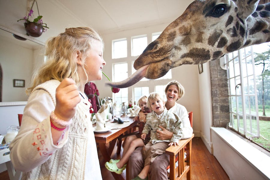 giraffe manor lodges where animals roam free