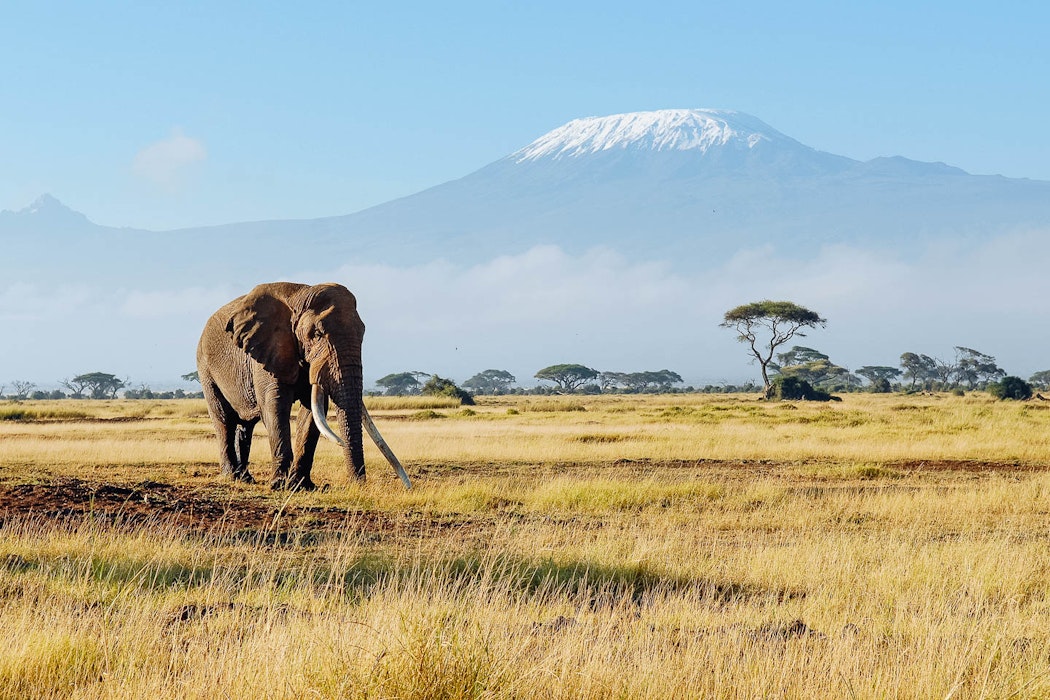 Kilimangaro safari top 10 african adventures