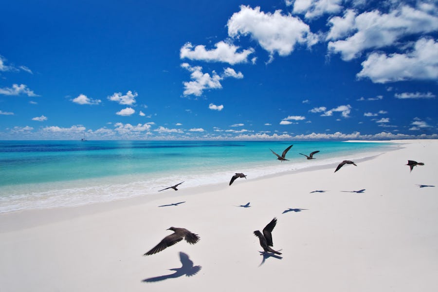 west beach bird island mauritius
