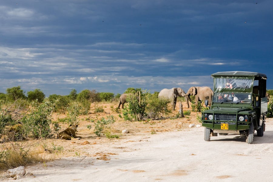 mushara game drive etosha namibia travel tips