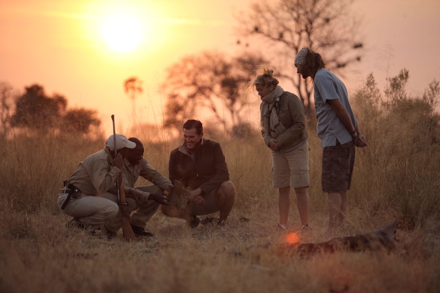 Sandibe Okavango Safari lodge guide learn Timbuktu Travel