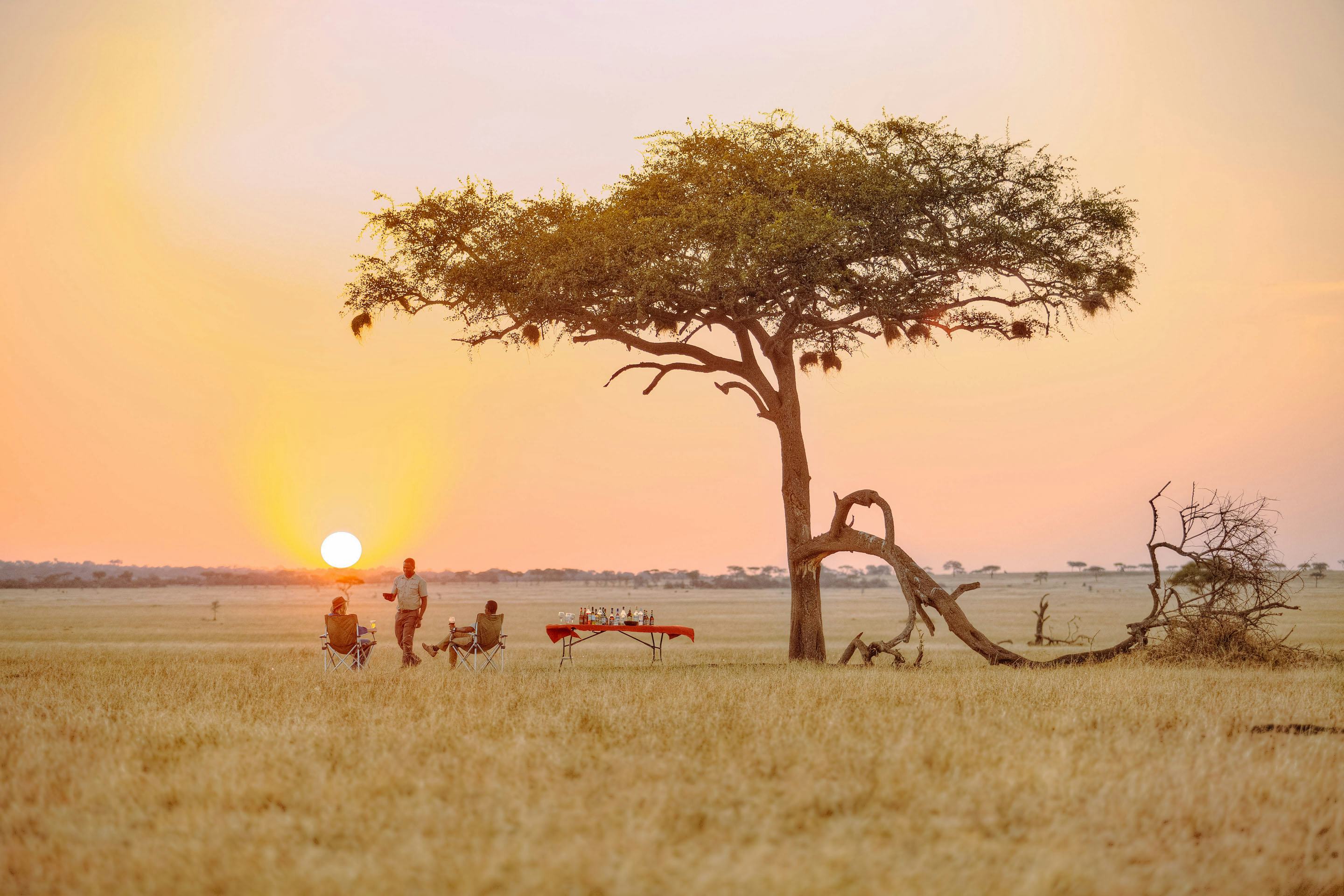 Serengeti ubuntu camp sundowners