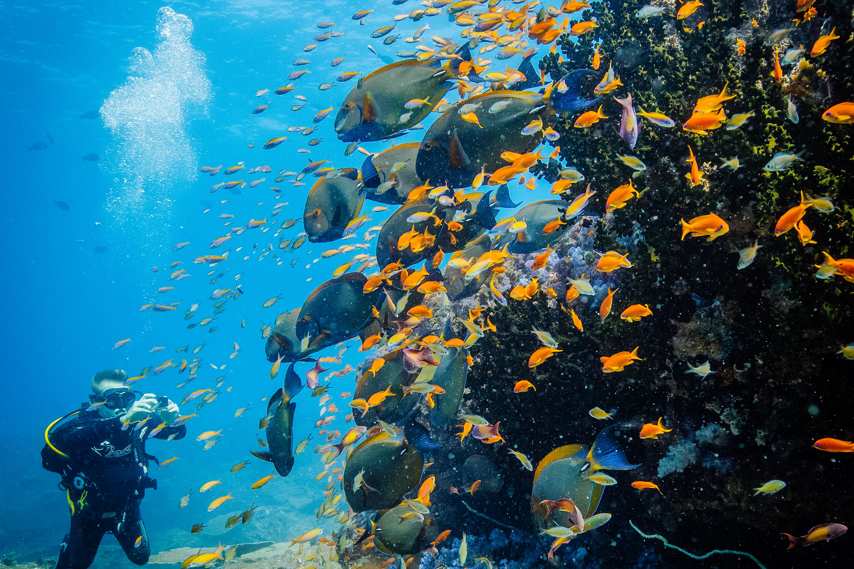 Azura Benguerra Mozambique top diving spots in africa