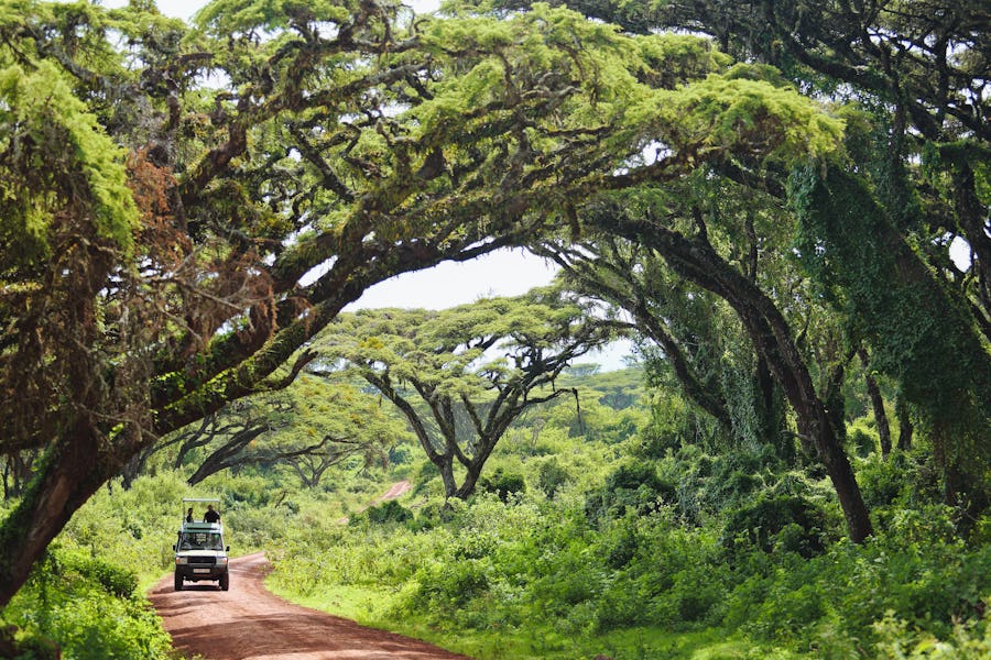 Ngorongoro the highlands camp