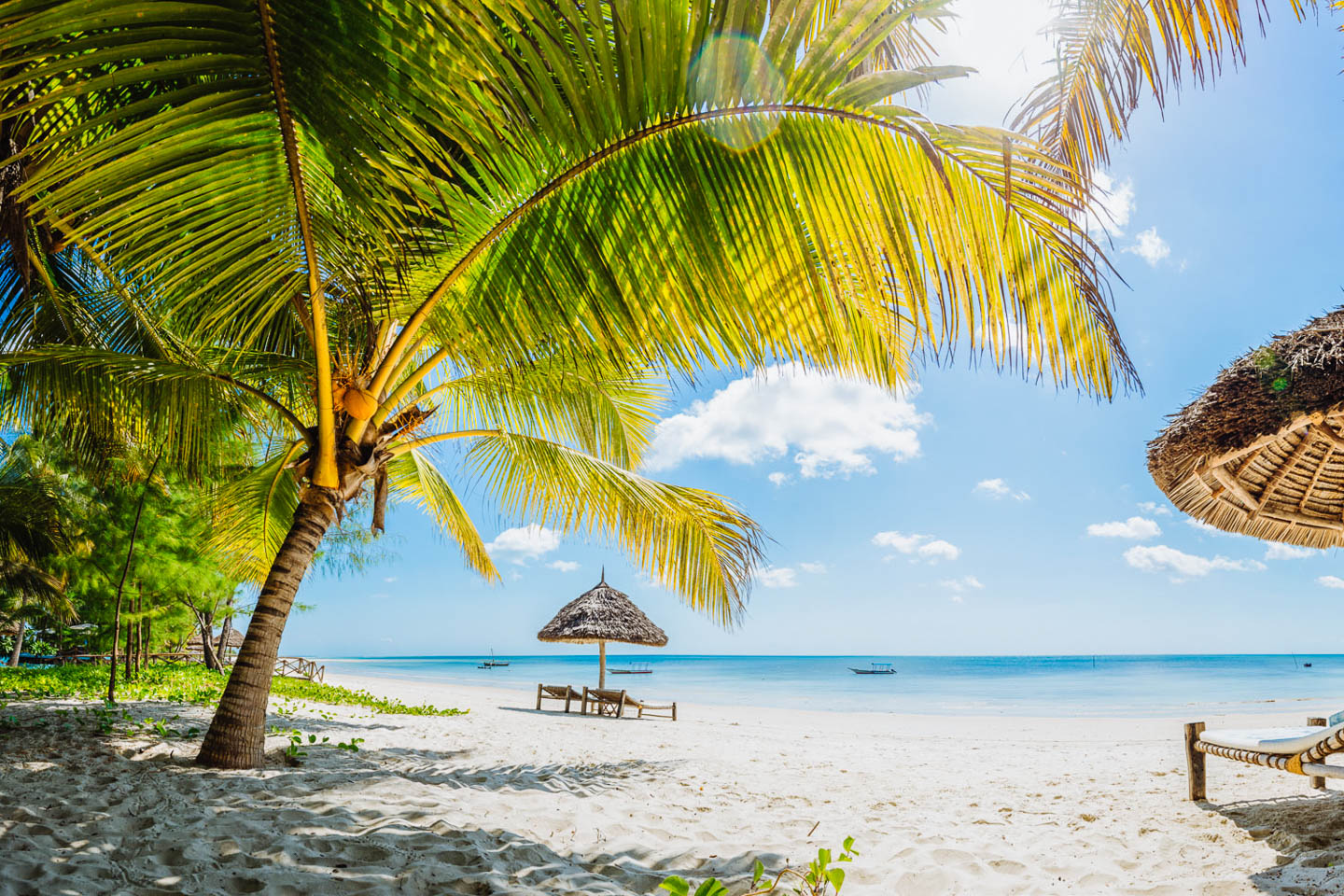 Butiama beach mafia island zanzibar