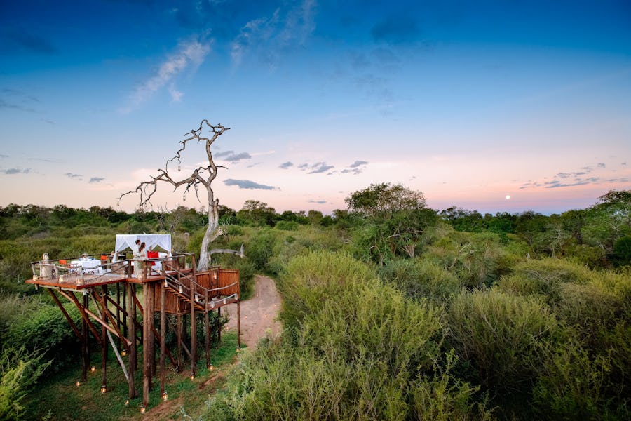 lion sands ivory lodge chalkley tree house south africa romantic proposal engagement africa