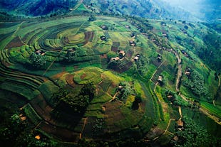 Uganda Safari Guide