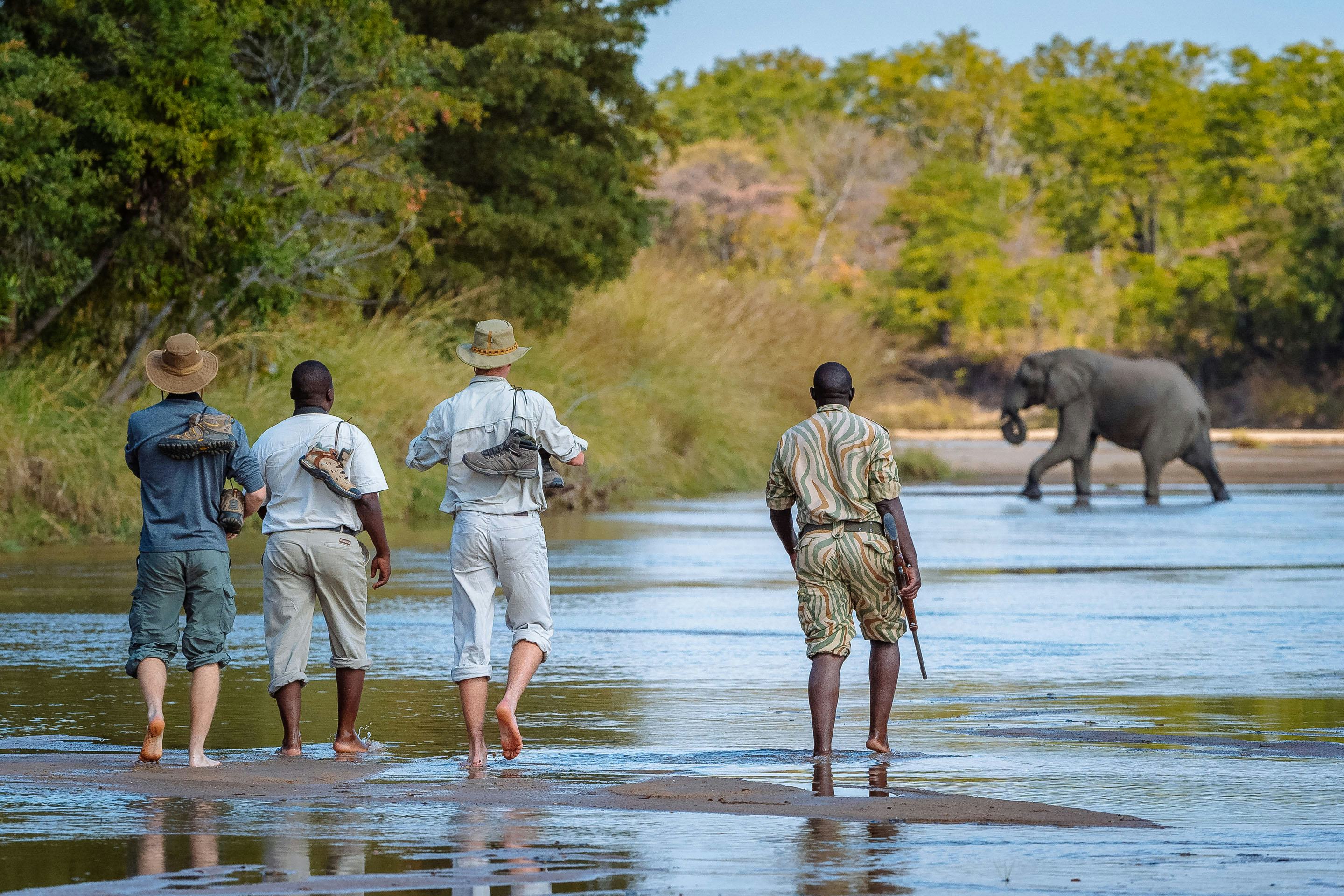 Walking Safari South Luangwa National Park