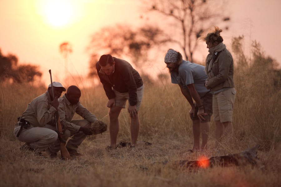 Sandibe Okavango Delta Botswana The Magic of a Walking Safari