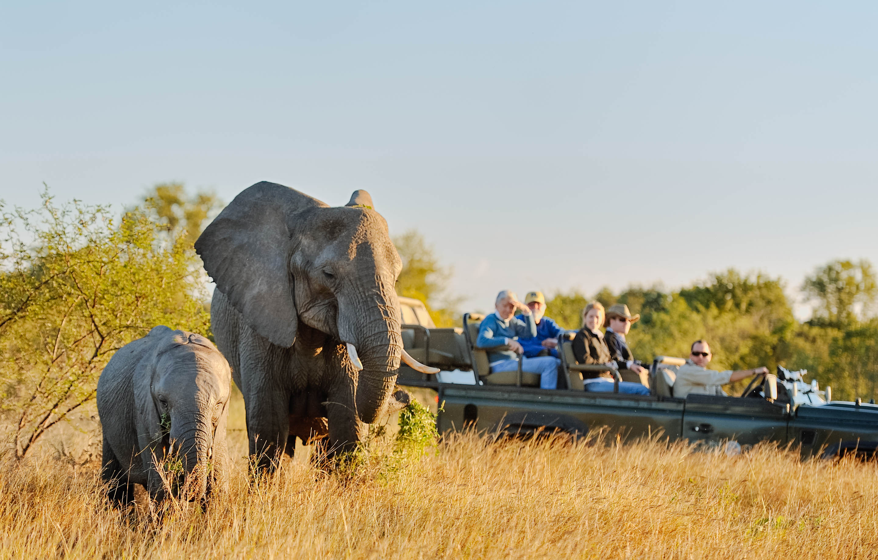 Best Big Five Safari Destinations Africa