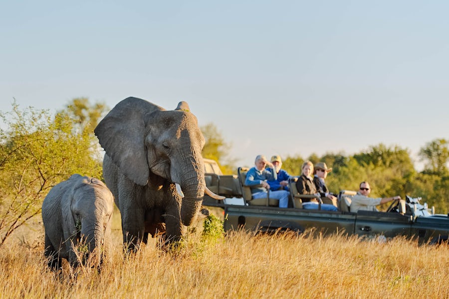 Best Big Five Safari Destinations Africa