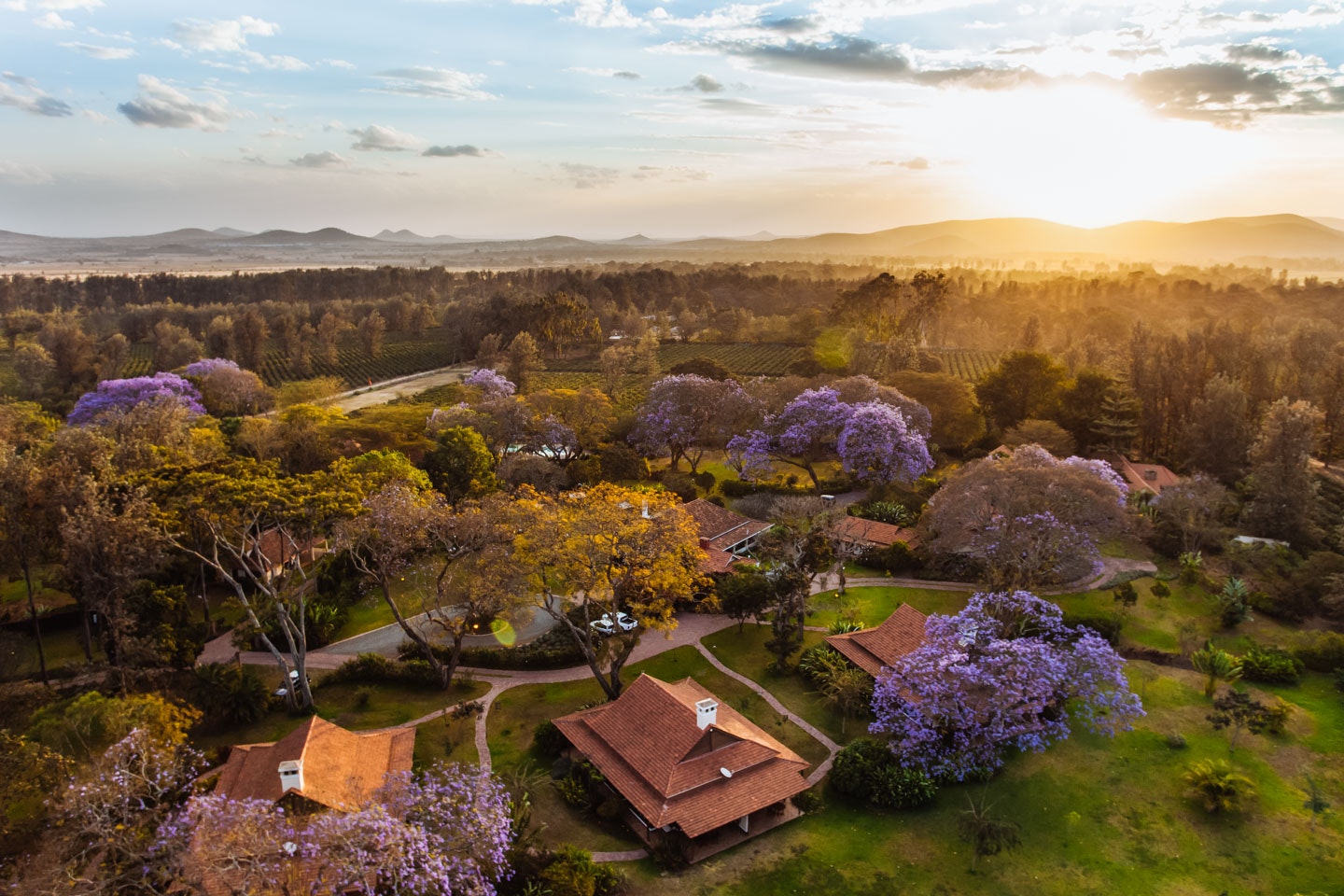 What to do with 24 Hours in Arusha, Tanzania - Timbuktu