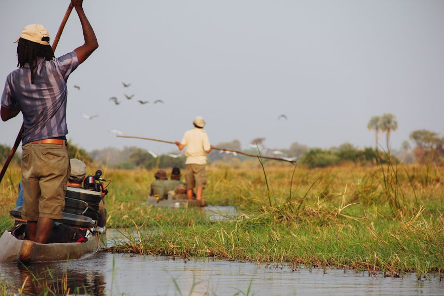 Mokoro Safari Okavango Delta