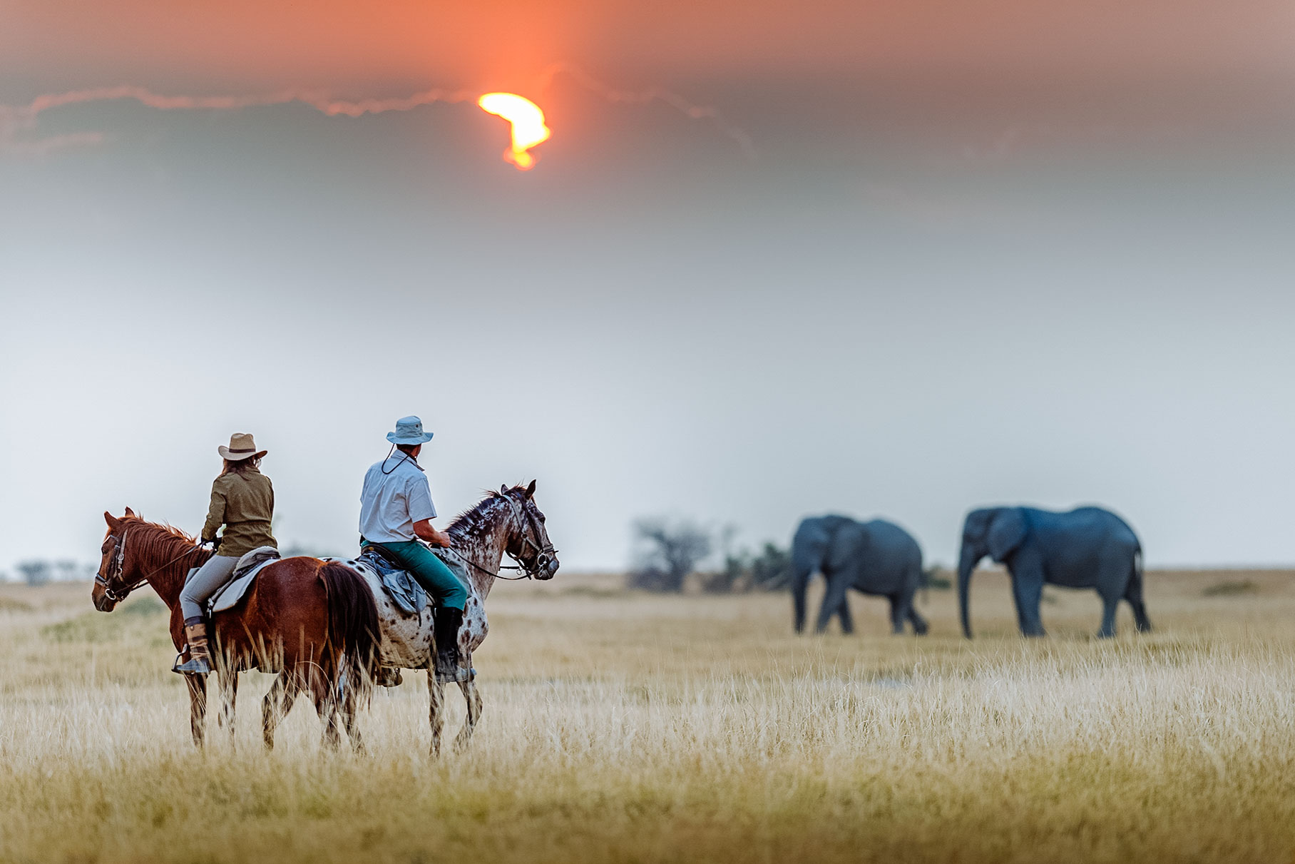 The Best Horseback Safari Adventures in Africa