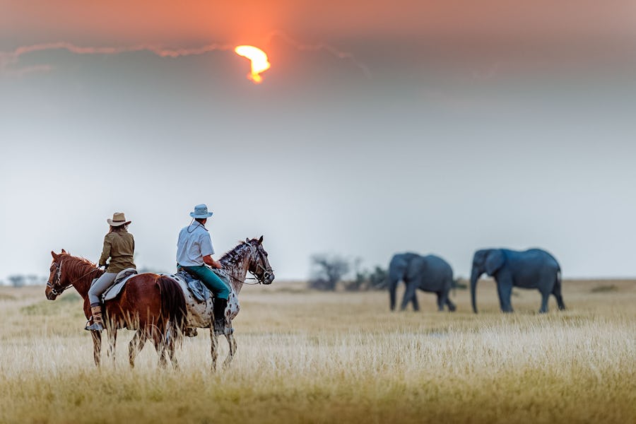 Botswana - Horseback safaris