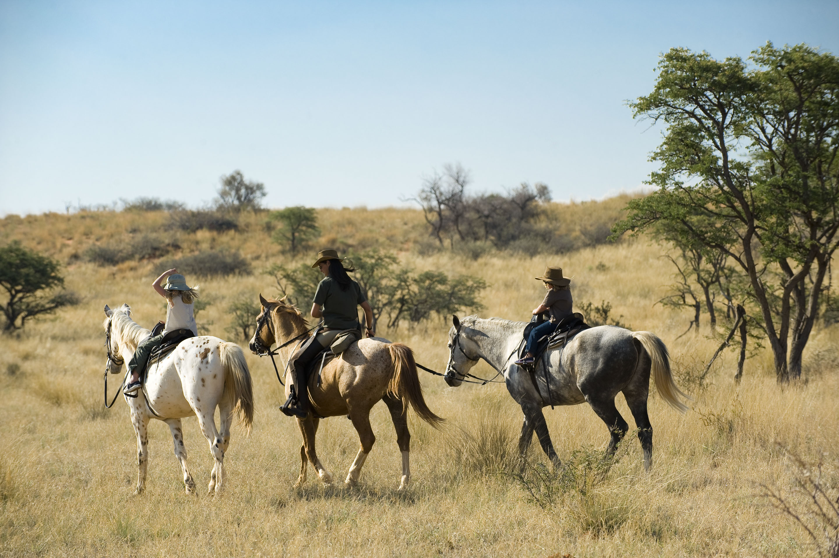 Kalahari Horseback safaris