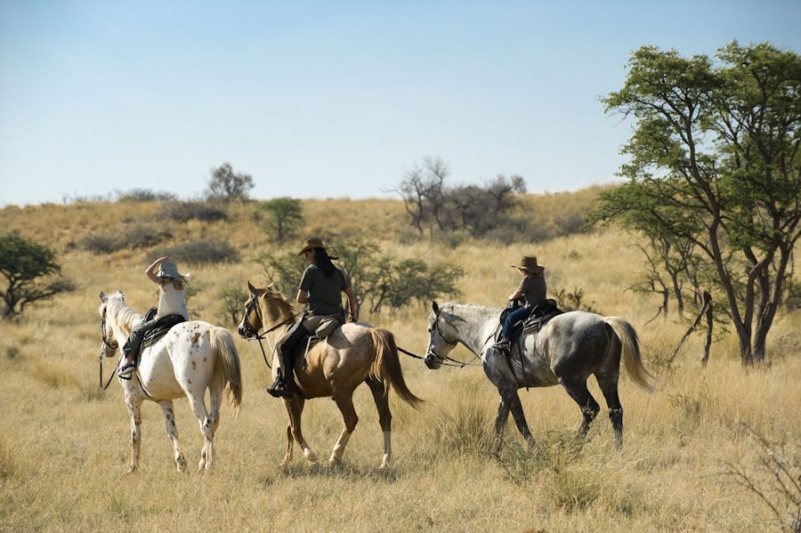 Kalahari - Horseback safaris