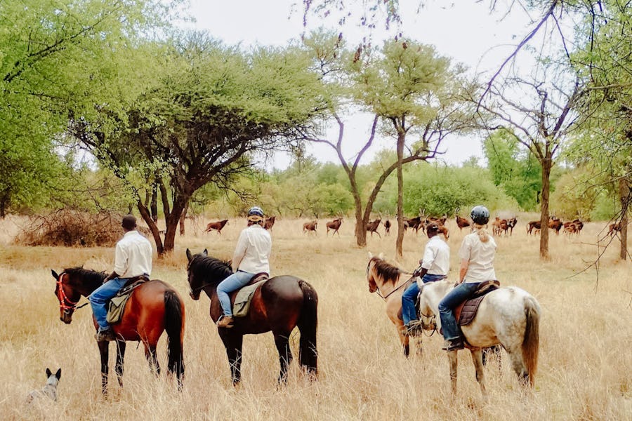 Zimbabwe - Horseback safaris