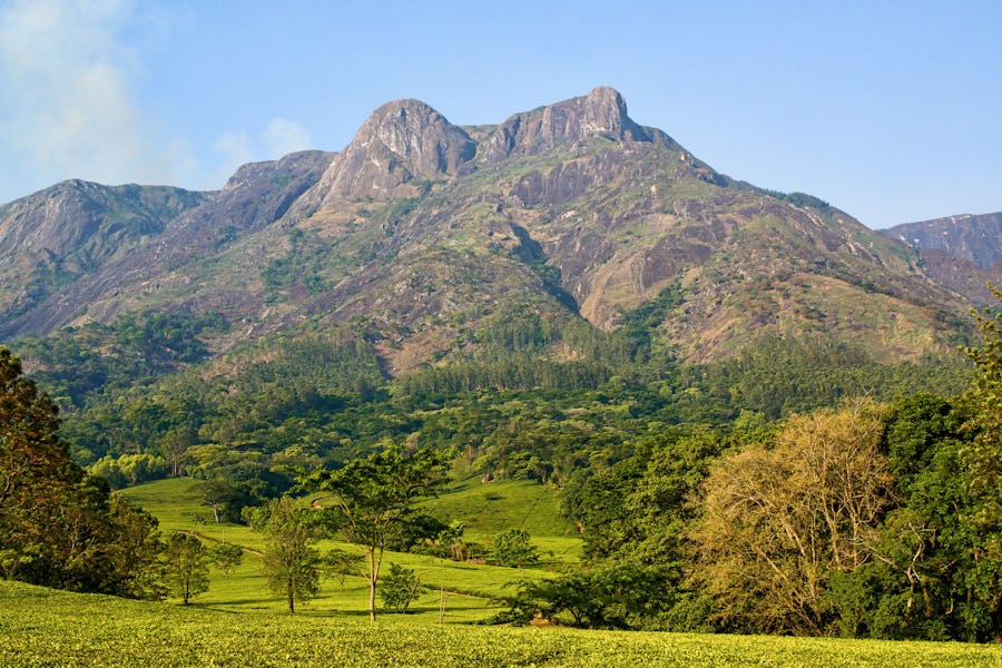 Mount Mulanje - Malawi Travel Guide
