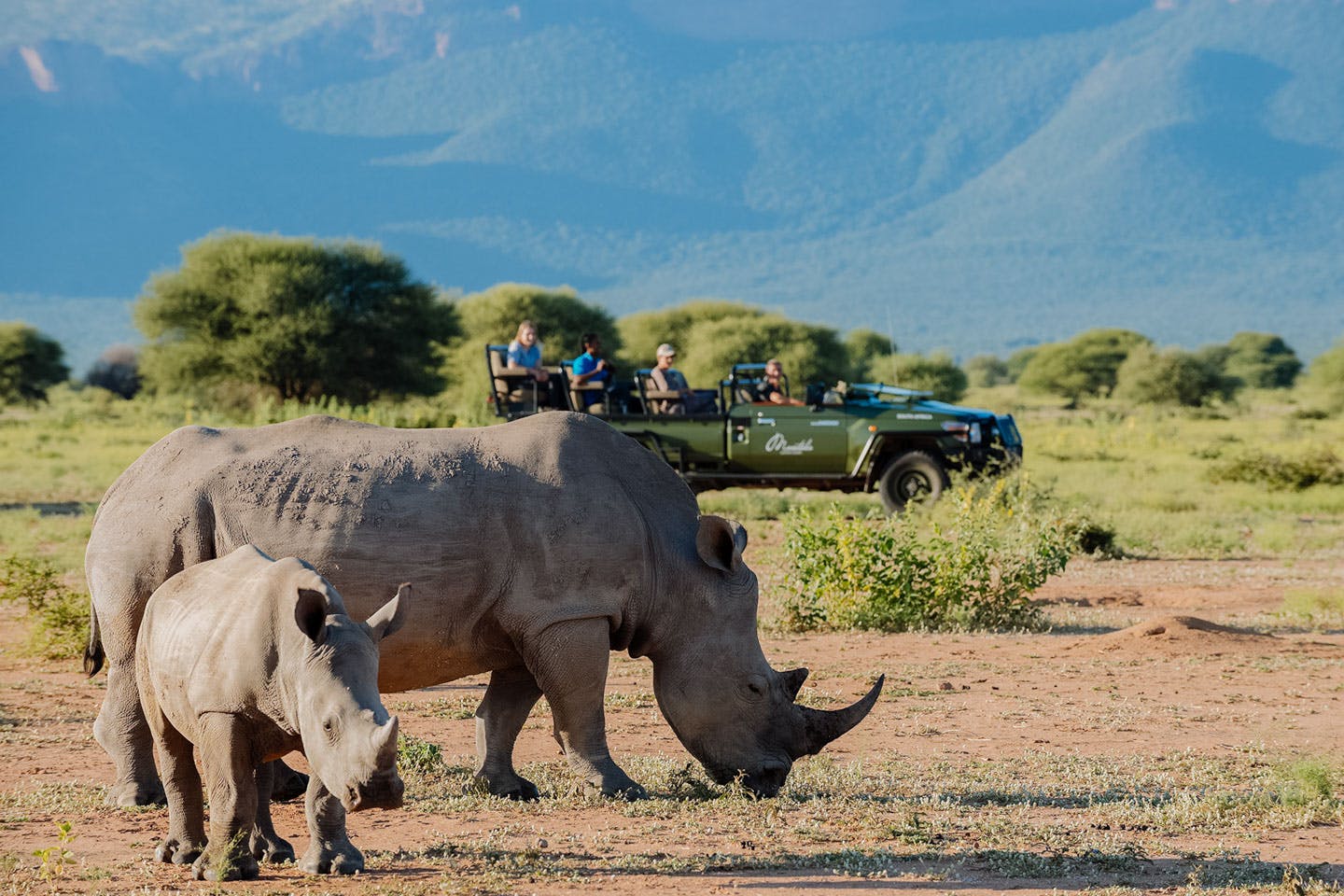 Marataba Lodge - plan a safari
