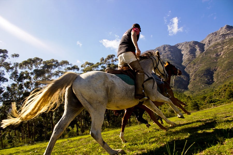 Horse riding in Tulbagh - Day Trips from Cape Town