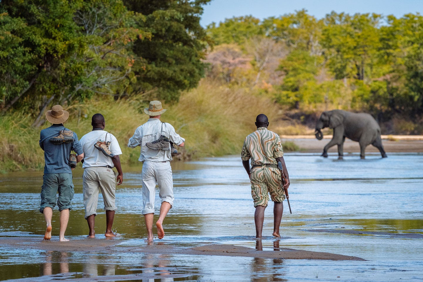 Africa safari trip