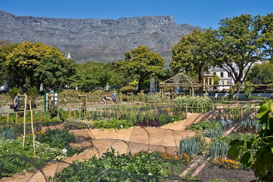 Company Gardens - Cape town culture