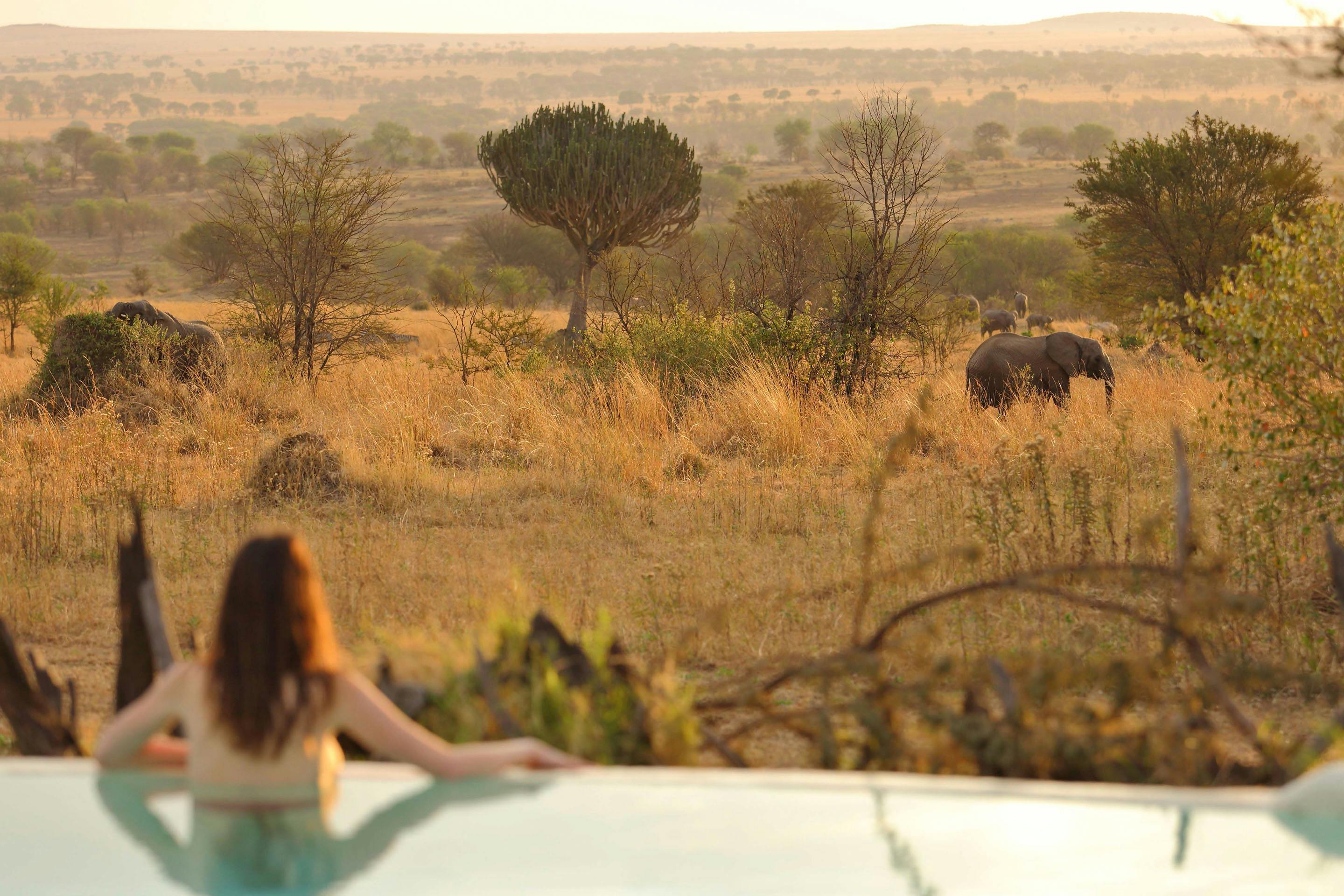 Best of 2018 - Sayari