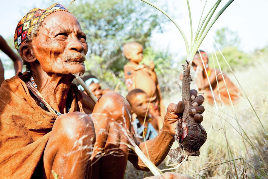 Cultural experiences in Africa - bushmen activities