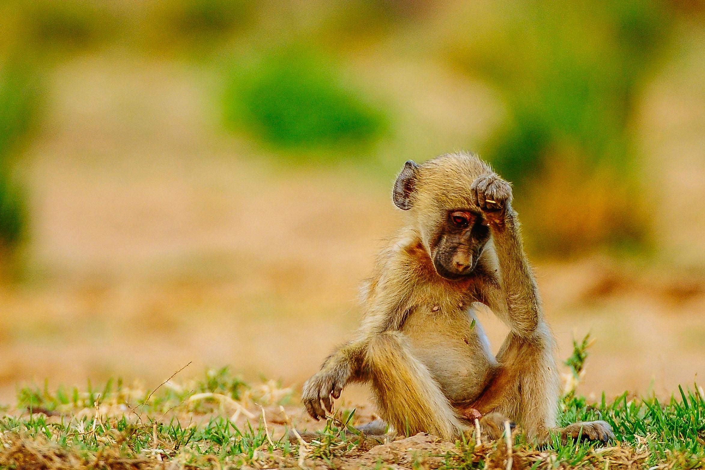 Hard to pronounce places - lower zambezi