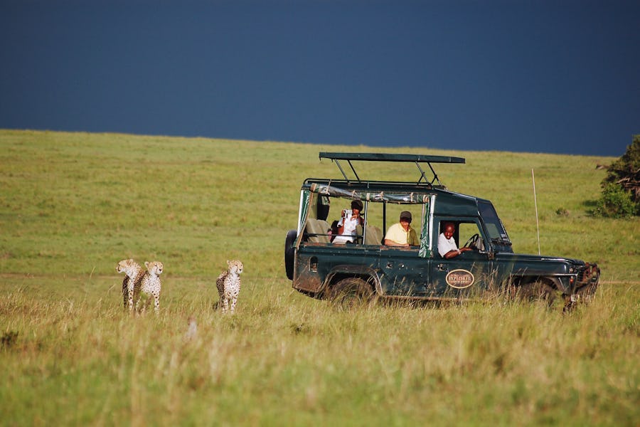 A day on safari - Mara intrepids