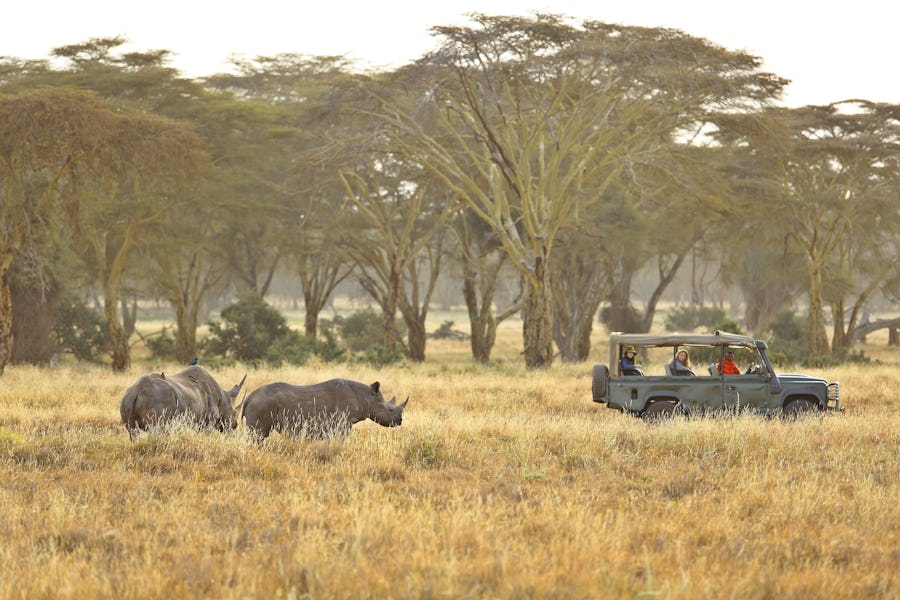 A day on safari - lewa downs